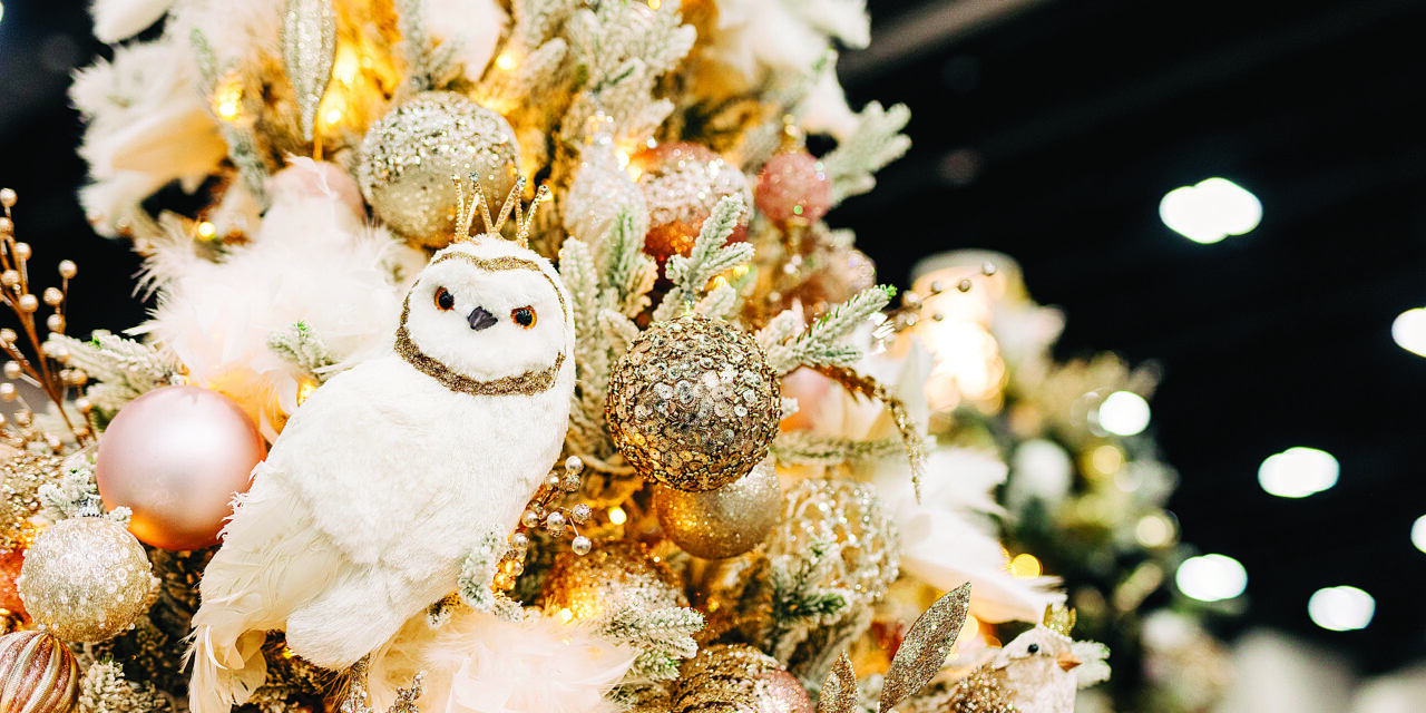 East Cobber Stock Photo